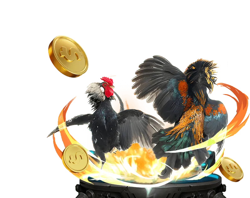 Giao diện cá cược trực tiếp ku kasino